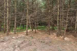 Off Church Rd #2, , Conover,  WI 54519 USA