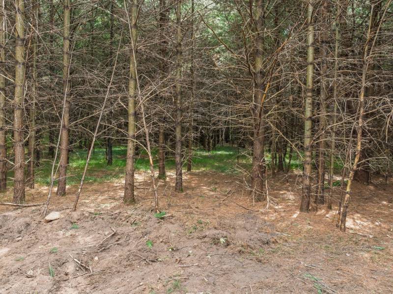 Off Church Rd #2, , Conover,  WI 54519 USA