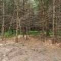 Off Church Rd #2, , Conover,  WI 54519 USA