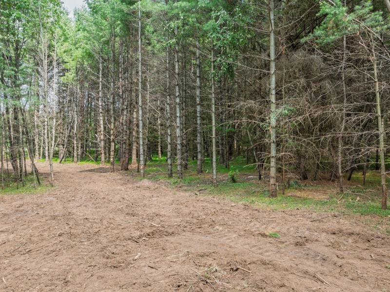 Off Church Rd #2, , Conover,  WI 54519 USA