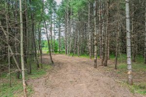 Off Church Rd #2, , Conover,  WI 54519 USA