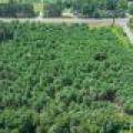 Off Church Rd #2, , Conover,  WI 54519 USA