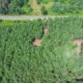 Off Church Rd #2, , Conover,  WI 54519 USA