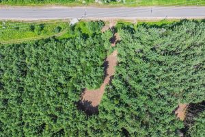 Off Church Rd #2, , Conover,  WI 54519 USA