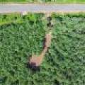 Off Church Rd #2, , Conover,  WI 54519 USA