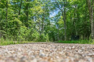 Off Twin Hill Rd #2, , Conover,  WI 54519 USA