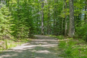 Off Twin Hill Rd #2, , Conover,  WI 54519 USA