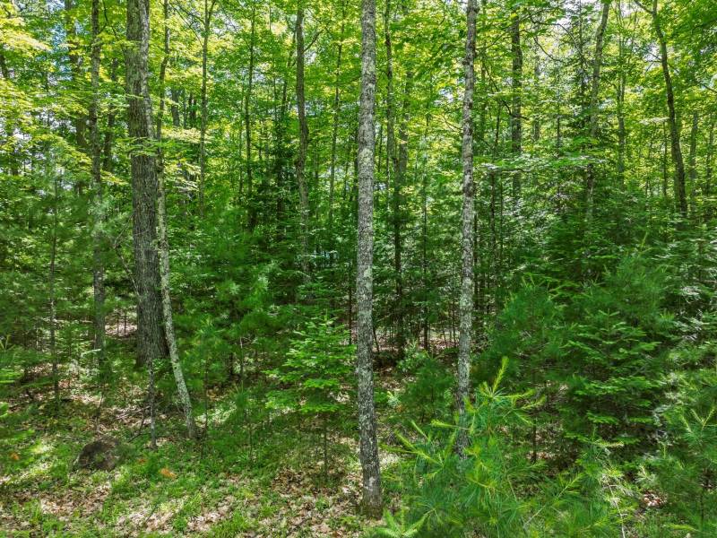 Off Twin Hill Rd #2, , Conover,  WI 54519 USA