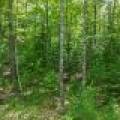 Off Twin Hill Rd #2, , Conover,  WI 54519 USA