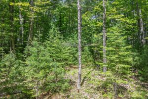 Off Twin Hill Rd #2, , Conover,  WI 54519 USA