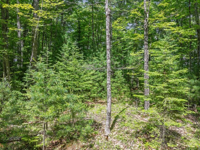 Off Twin Hill Rd #2, , Conover,  WI 54519 USA