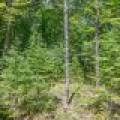 Off Twin Hill Rd #2, , Conover,  WI 54519 USA