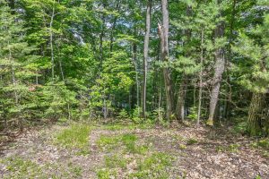 Off Twin Hill Rd #2, , Conover,  WI 54519 USA