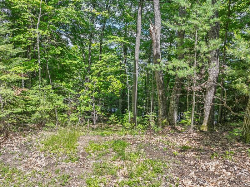 Off Twin Hill Rd #2, , Conover,  WI 54519 USA