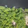 Off Twin Hill Rd #2, , Conover,  WI 54519 USA