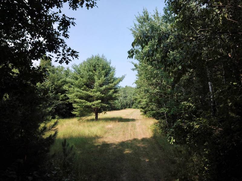 On Oak Ridge Rd, , Harshaw,  WI 54529 USA