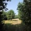 On Oak Ridge Rd, , Harshaw,  WI 54529 USA