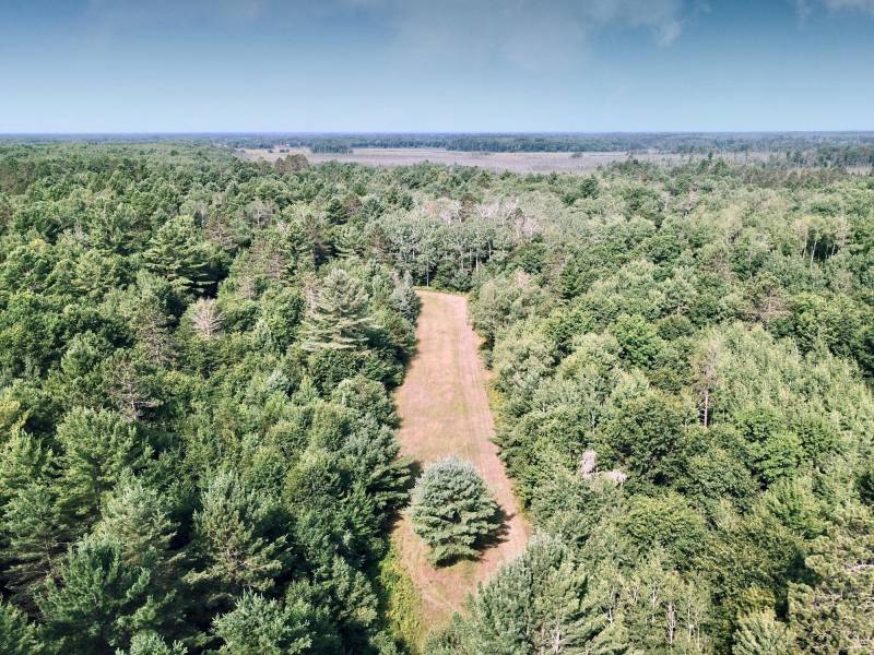 On Oak Ridge Rd, , Harshaw,  WI 54529 USA