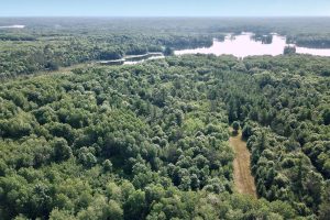 On Oak Ridge Rd, , Harshaw,  WI 54529 USA