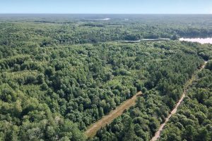 On Oak Ridge Rd, , Harshaw,  WI 54529 USA
