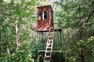 On Oak Ridge Rd, , Harshaw,  WI 54529 USA