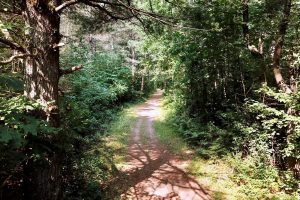 On Oak Ridge Rd, , Harshaw,  WI 54529 USA