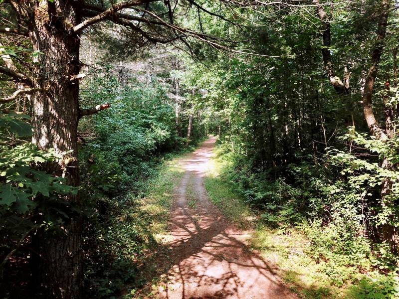 On Oak Ridge Rd, , Harshaw,  WI 54529 USA