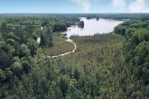 On Oak Ridge Rd, , Harshaw,  WI 54529 USA