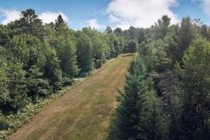 On Oak Ridge Rd, , Harshaw,  WI 54529 USA