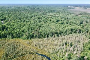 On Oak Ridge Rd, , Harshaw,  WI 54529 USA