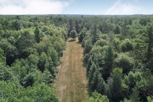 On Oak Ridge Rd, , Harshaw,  WI 54529 USA