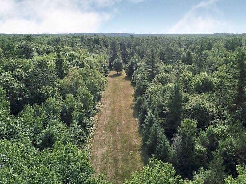 On Oak Ridge Rd, , Harshaw,  WI 54529 USA