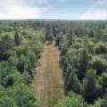 On Oak Ridge Rd, , Harshaw,  WI 54529 USA