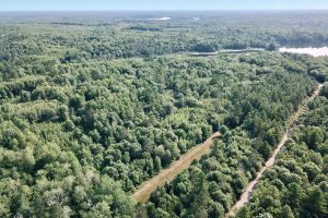 On Oak Ridge Rd, , Harshaw,  WI 54529 USA