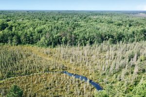 On Oak Ridge Rd, , Harshaw,  WI 54529 USA