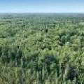On Oak Ridge Rd, , Harshaw,  WI 54529 USA