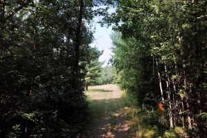 On Oak Ridge Rd, , Harshaw,  WI 54529 USA