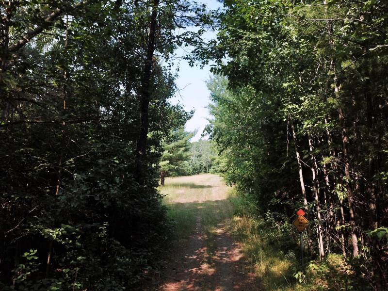 On Oak Ridge Rd, , Harshaw,  WI 54529 USA