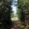 On Oak Ridge Rd, , Harshaw,  WI 54529 USA