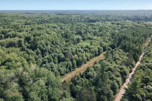 On Oak Ridge Rd, , Harshaw,  WI 54529 USA