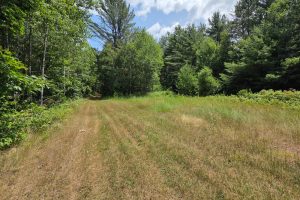 On Oak Ridge Rd, , Harshaw,  WI 54529 USA