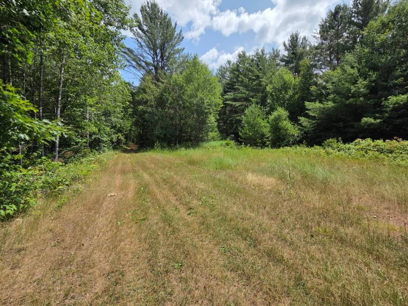On Oak Ridge Rd, , Harshaw,  WI 54529 USA