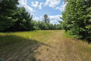 On Oak Ridge Rd, , Harshaw,  WI 54529 USA