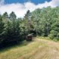 On Oak Ridge Rd, , Harshaw,  WI 54529 USA