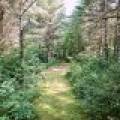 On Oak Ridge Rd, , Harshaw,  WI 54529 USA