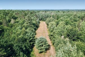 On Oak Ridge Rd, , Harshaw,  WI 54529 USA