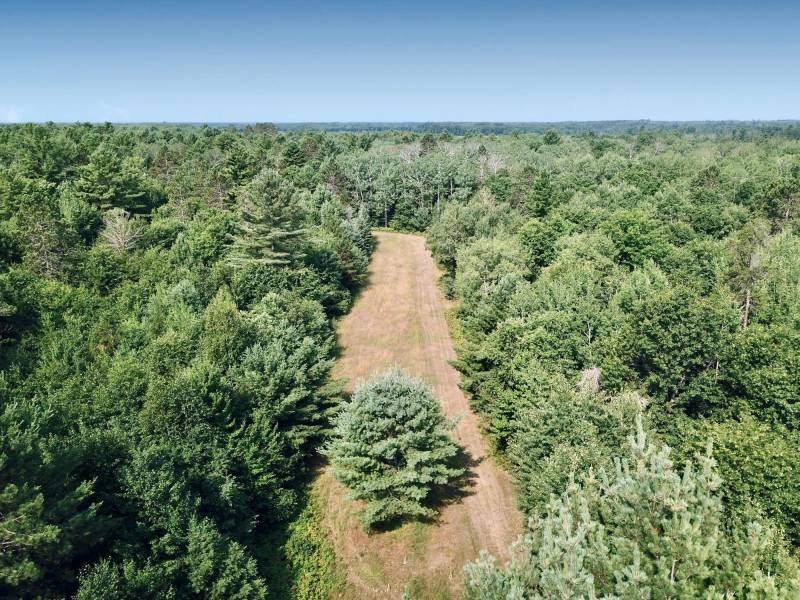 On Oak Ridge Rd, , Harshaw,  WI 54529 USA