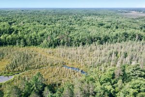 On Oak Ridge Rd, , Harshaw,  WI 54529 USA
