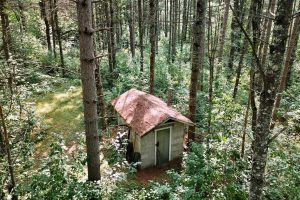 On Oak Ridge Rd, , Harshaw,  WI 54529 USA