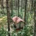 On Oak Ridge Rd, , Harshaw,  WI 54529 USA